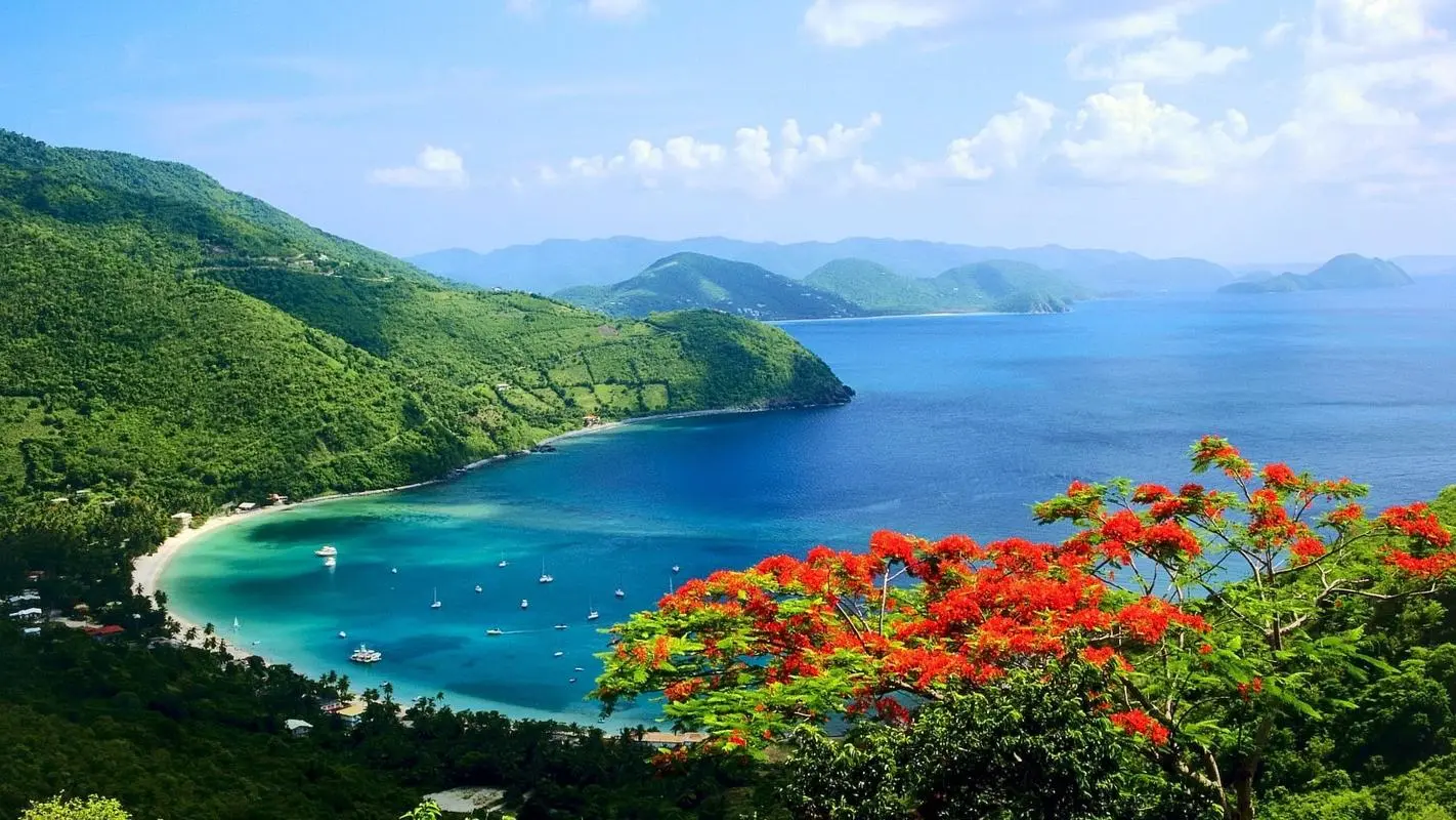 高效智能化
